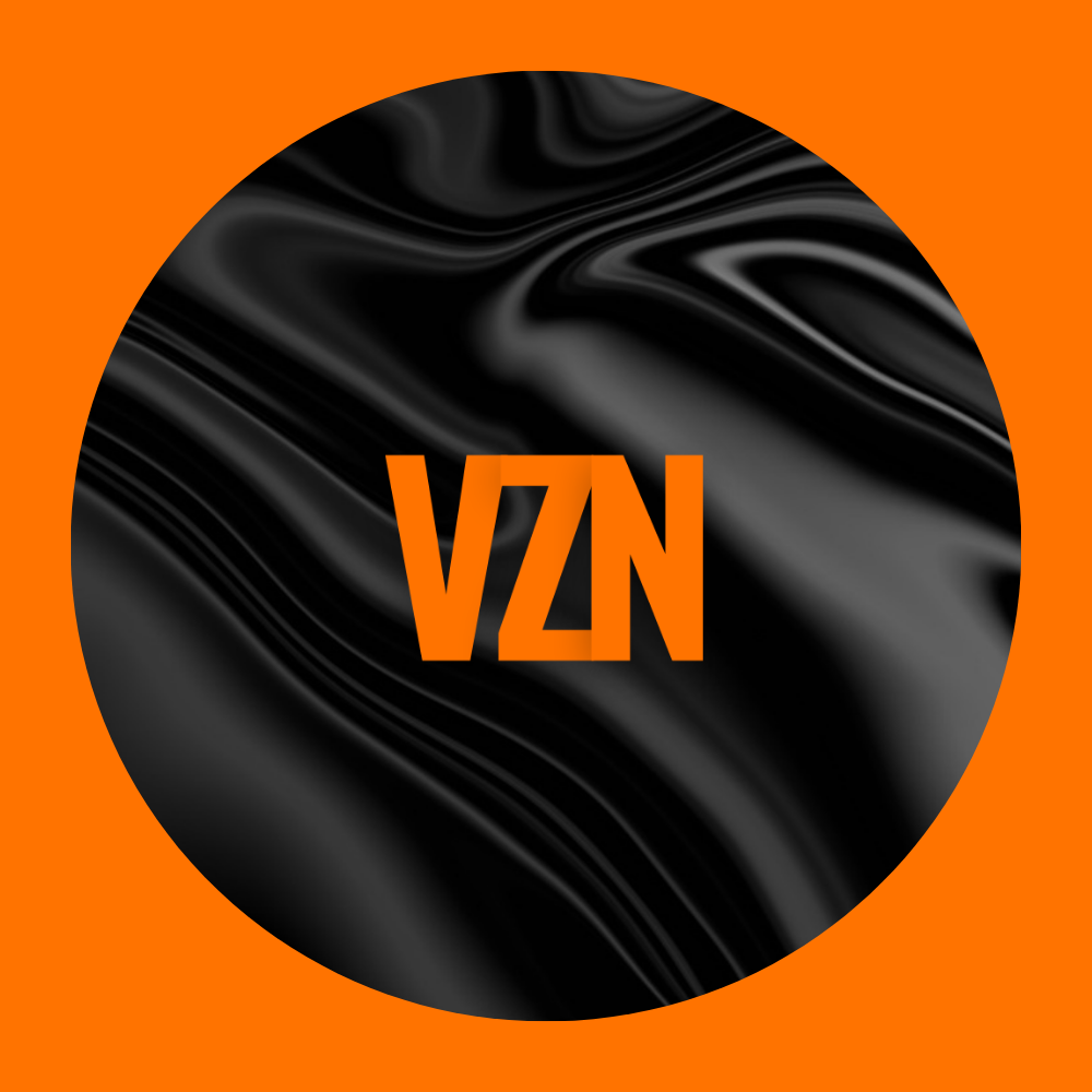 VZN Logo